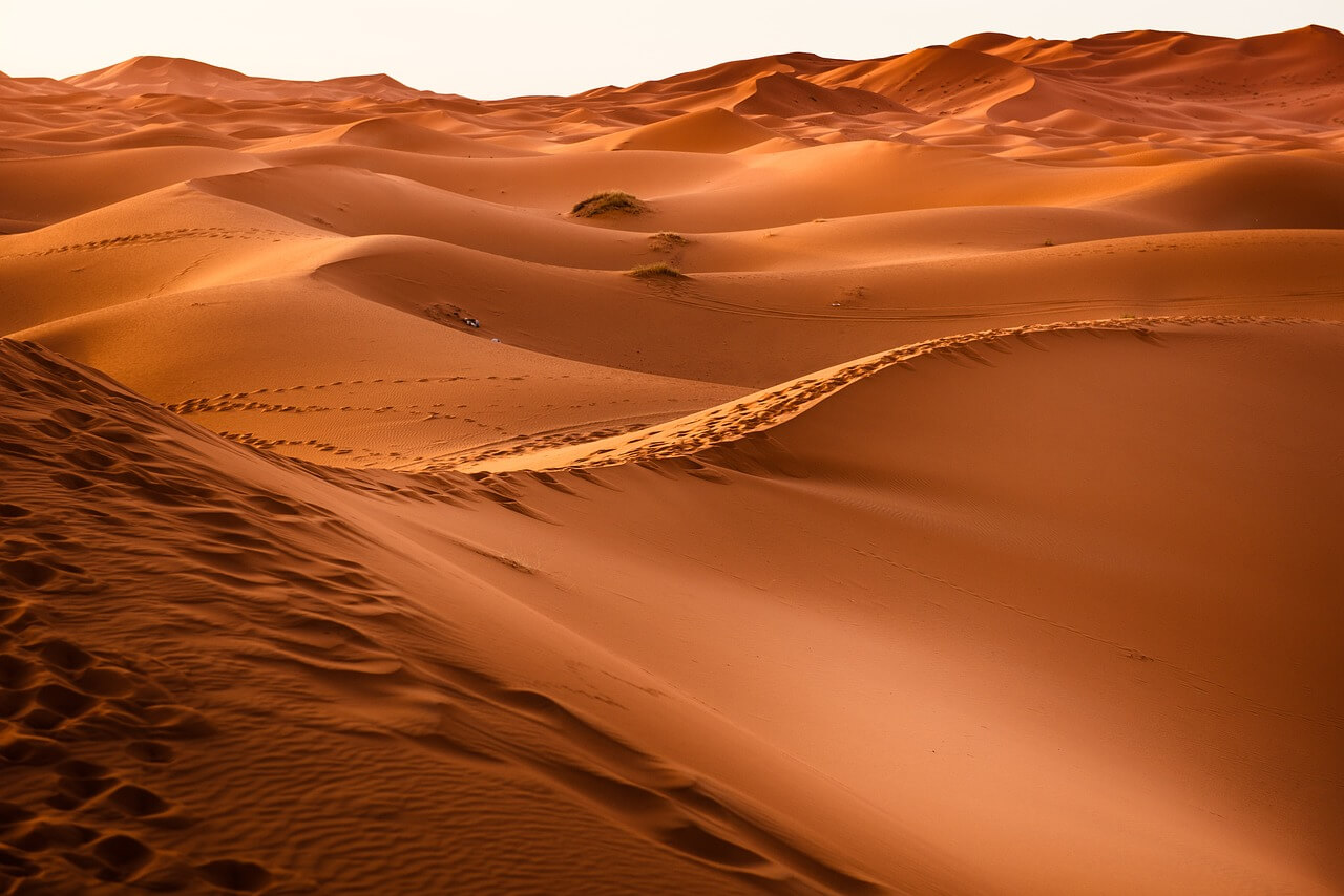 대표적인 사막